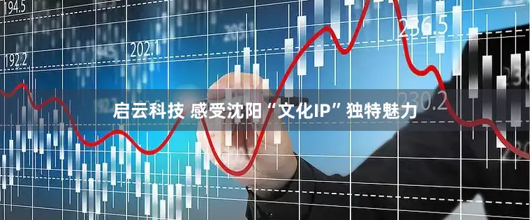 启云科技 感受沈阳“文化IP”独特魅力