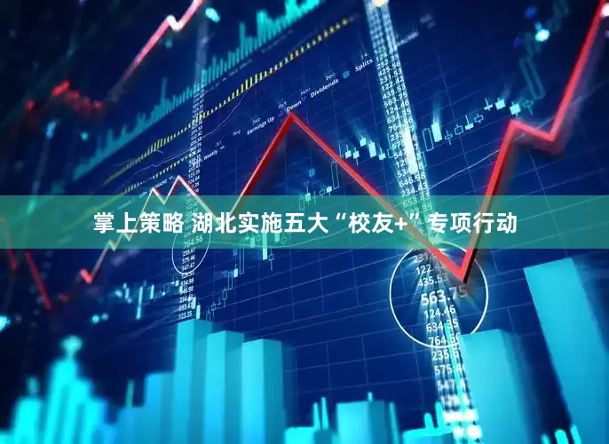 掌上策略 湖北实施五大“校友+”专项行动