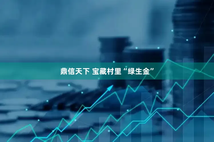 鼎信天下 宝藏村里“绿生金”