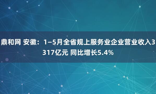 鼎和网 安徽：1—5月全省规上服务业企业营业收入3317亿元 同比增长5.4%