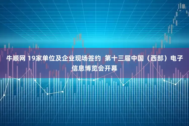 牛顺网 19家单位及企业现场签约  第十三届中国（西部）电子信息博览会开幕