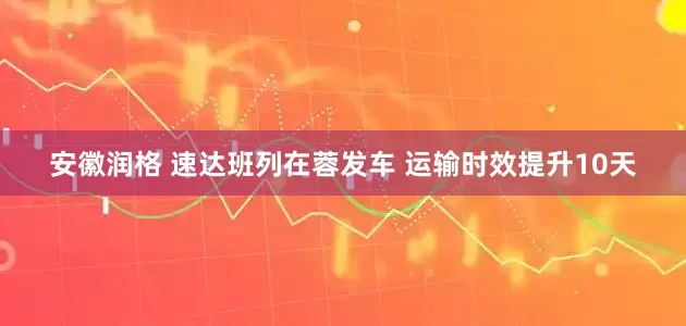 安徽润格 速达班列在蓉发车 运输时效提升10天