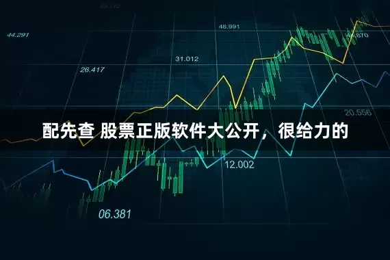 配先查 股票正版软件大公开，很给力的