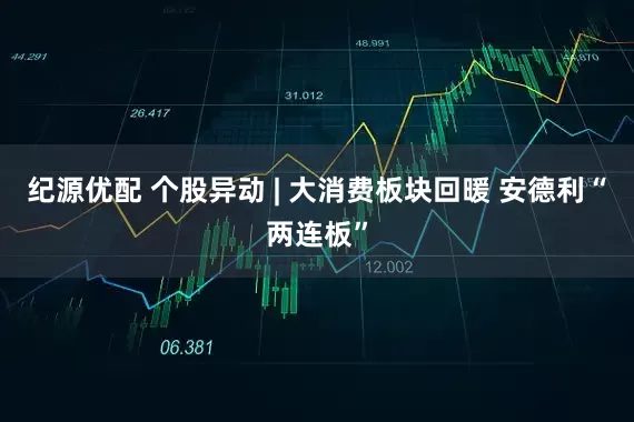 纪源优配 个股异动 | 大消费板块回暖 安德利“两连板”